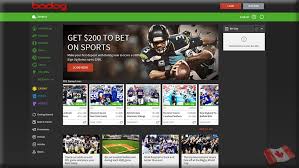 Explore Bodog Sports Betting for Top Odds, Expert Picks, and Winning Strategies