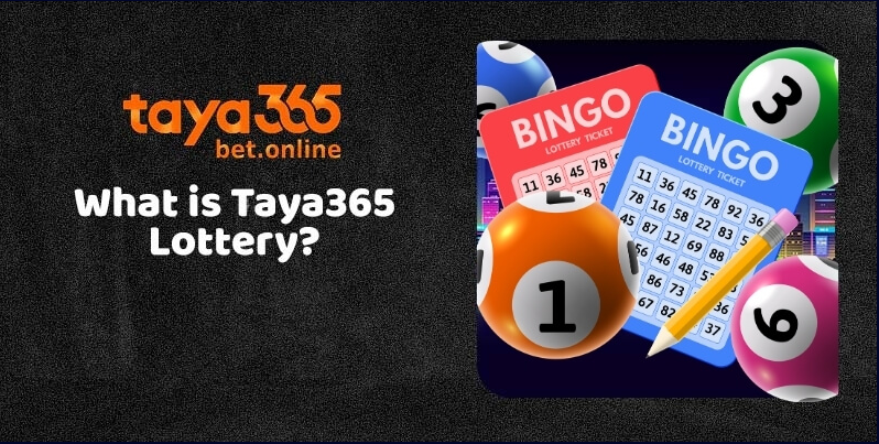 A Step-by-Step Guide to Winning at Taya365